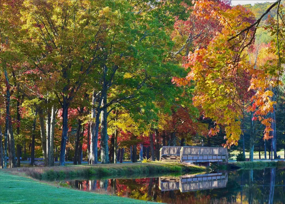 Brookdale Premier Addiction Recovery