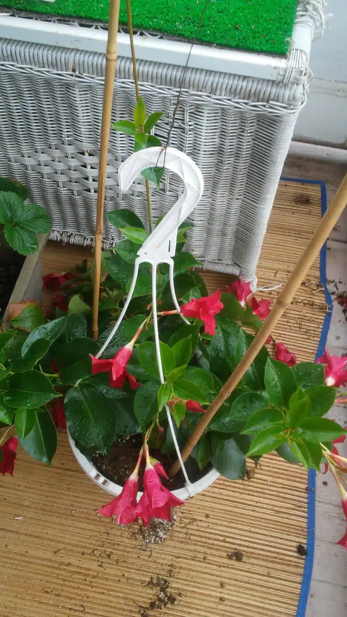 Family Servs and Child Aid Society