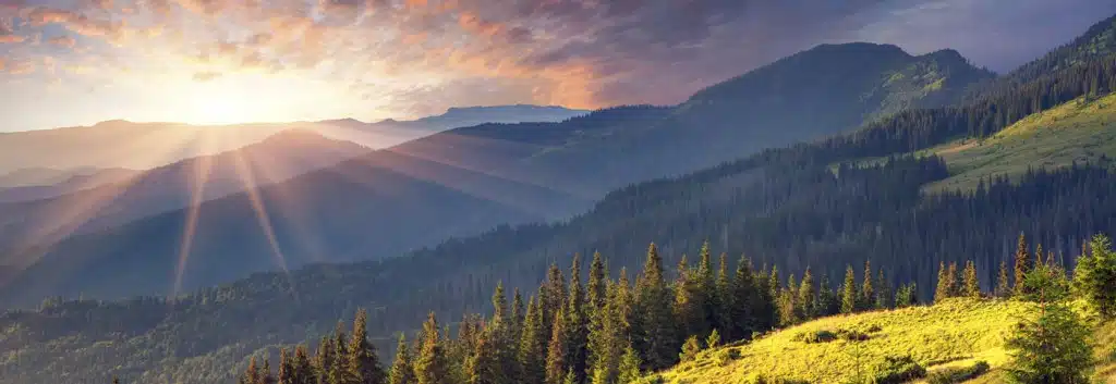 Foundations Medical Services